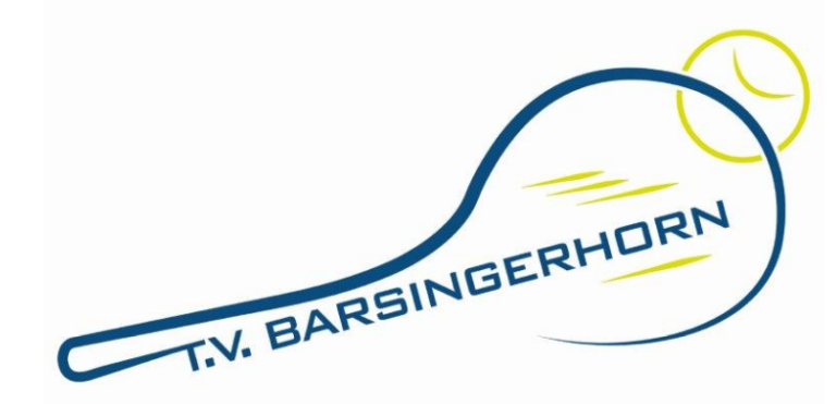 T.V. Barsingerhorn